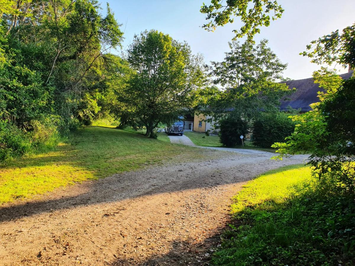 Ferme Equestre & Chambres D'Hotes Gateau Stables Proche Guedelon Saint-Amand-en-Puisaye Buitenkant foto