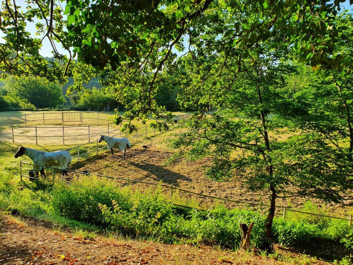 Ferme Equestre & Chambres D'Hotes Gateau Stables Proche Guedelon Saint-Amand-en-Puisaye Buitenkant foto