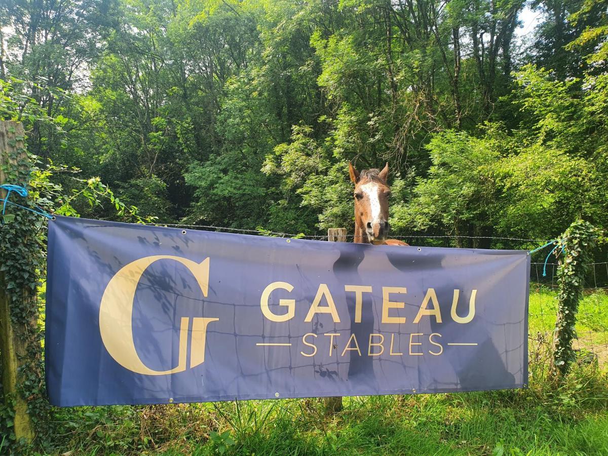 Ferme Equestre & Chambres D'Hotes Gateau Stables Proche Guedelon Saint-Amand-en-Puisaye Buitenkant foto