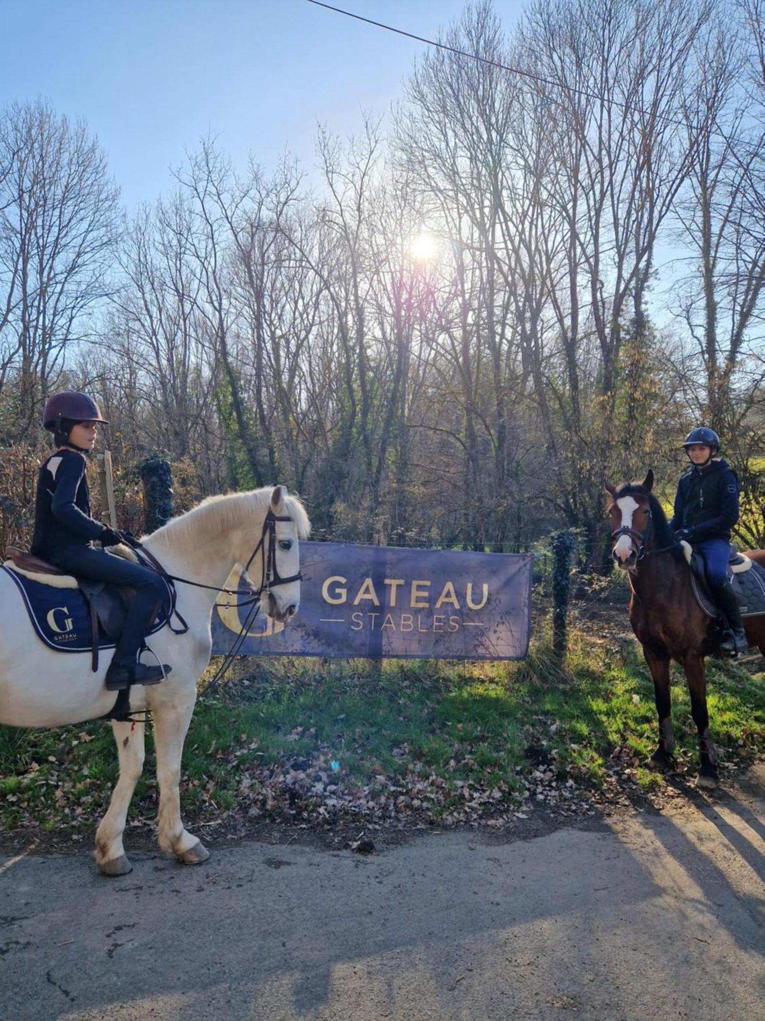 Ferme Equestre & Chambres D'Hotes Gateau Stables Proche Guedelon Saint-Amand-en-Puisaye Buitenkant foto