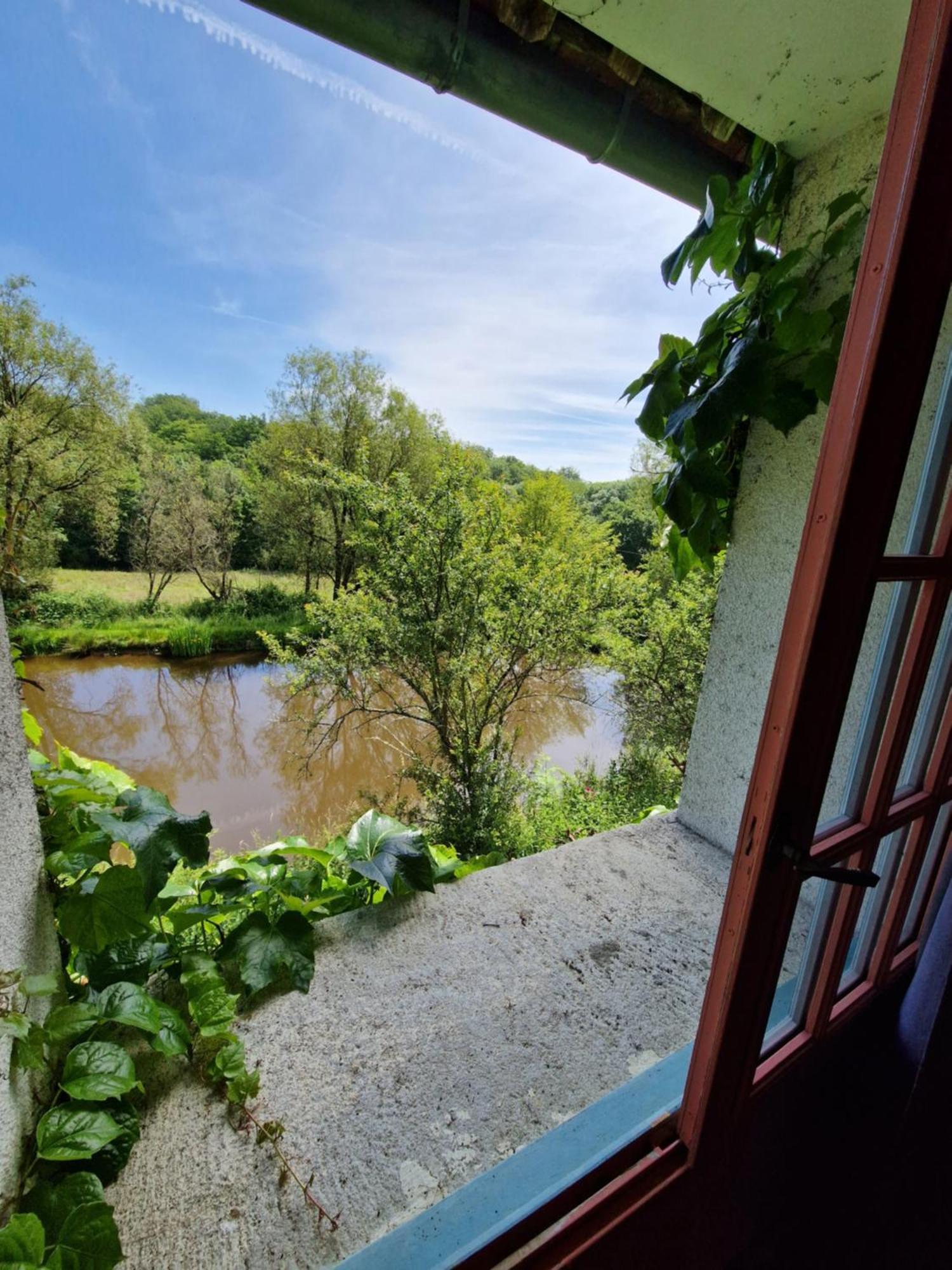 Ferme Equestre & Chambres D'Hotes Gateau Stables Proche Guedelon Saint-Amand-en-Puisaye Buitenkant foto