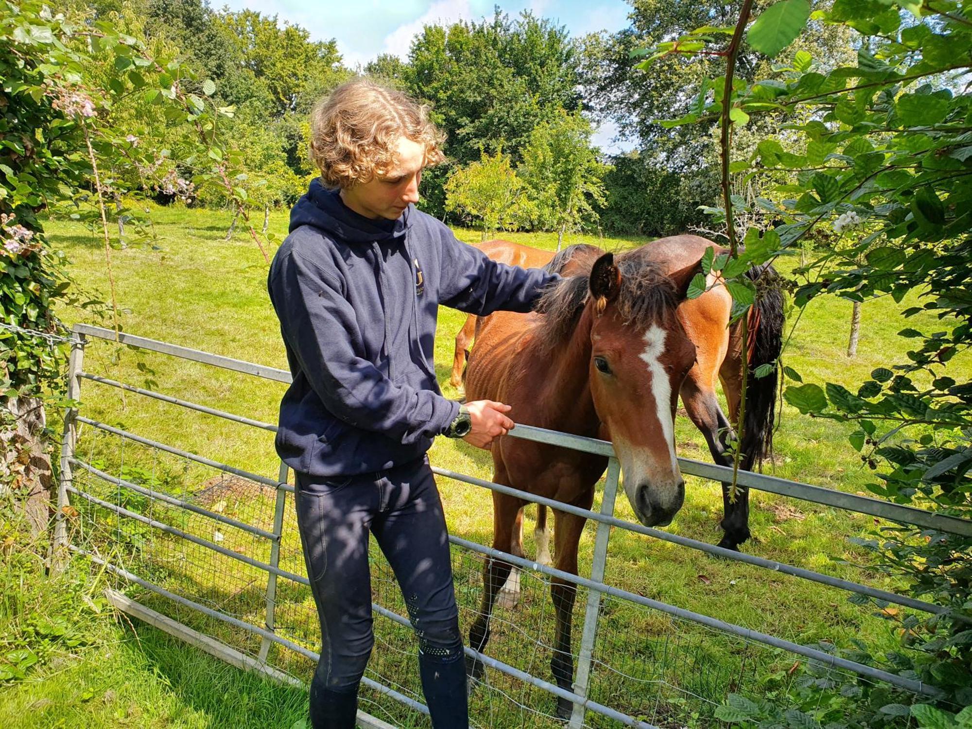 Ferme Equestre & Chambres D'Hotes Gateau Stables Proche Guedelon Saint-Amand-en-Puisaye Buitenkant foto